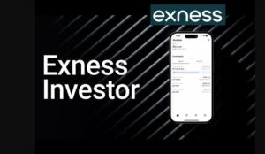 Exness Investor Hisobi