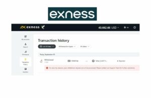 Как получить доступ к истории транзакций Exness