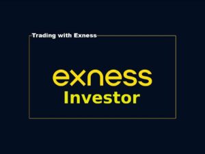 Инвесторский счет Exness