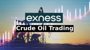Торговля сырой нефтью на Exness